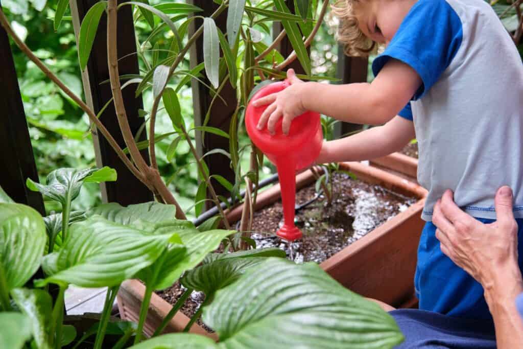 hoe vaak planten water geven