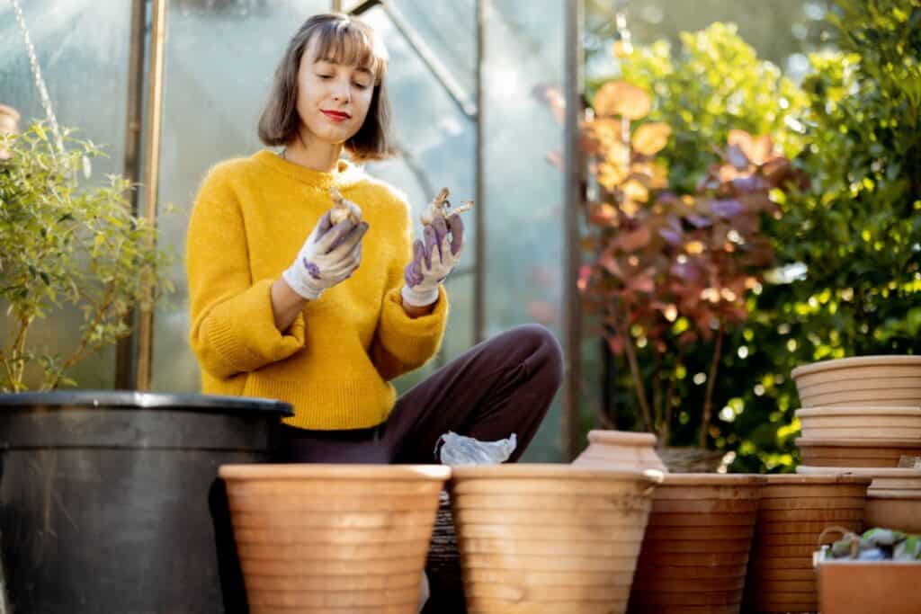 wanneer bollen planten in de tuin