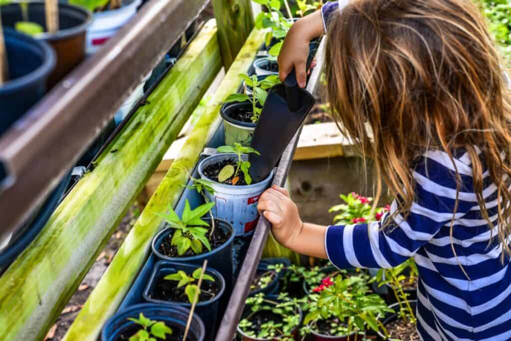 wanneer planten in de tuin