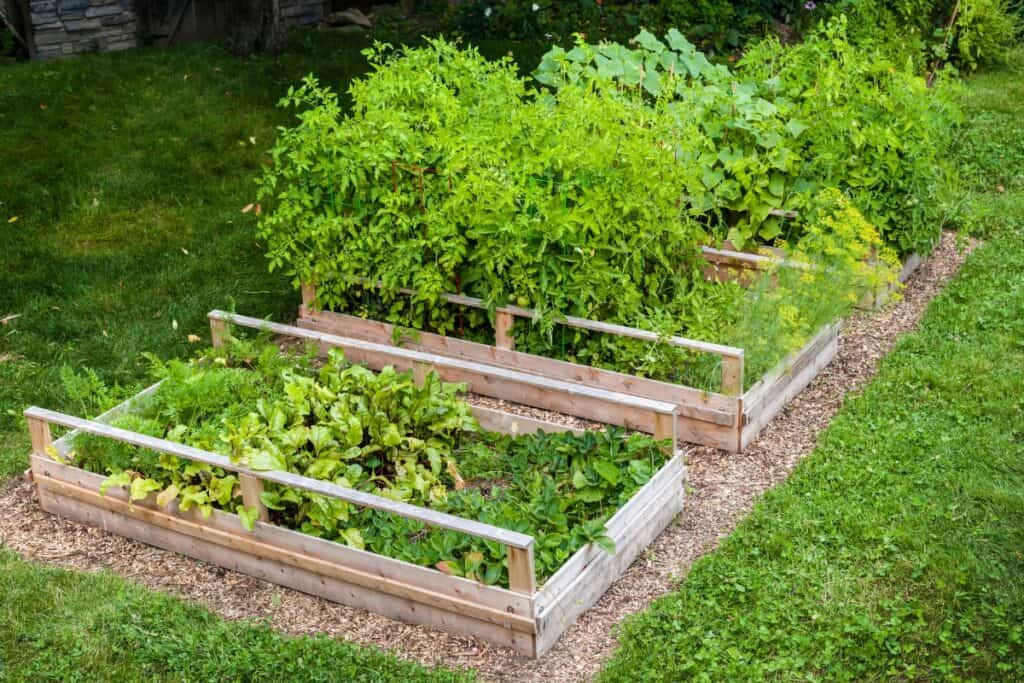 welke planten in bloembakken buiten