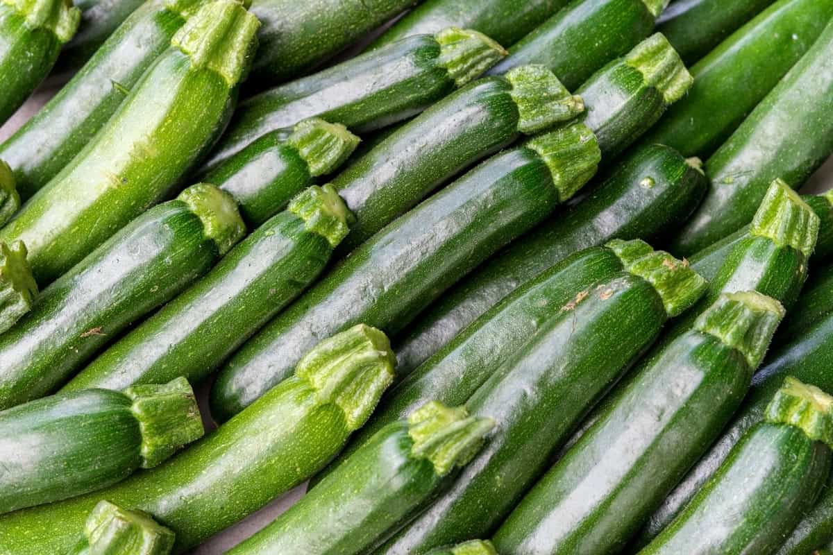 Jaugette Courgette