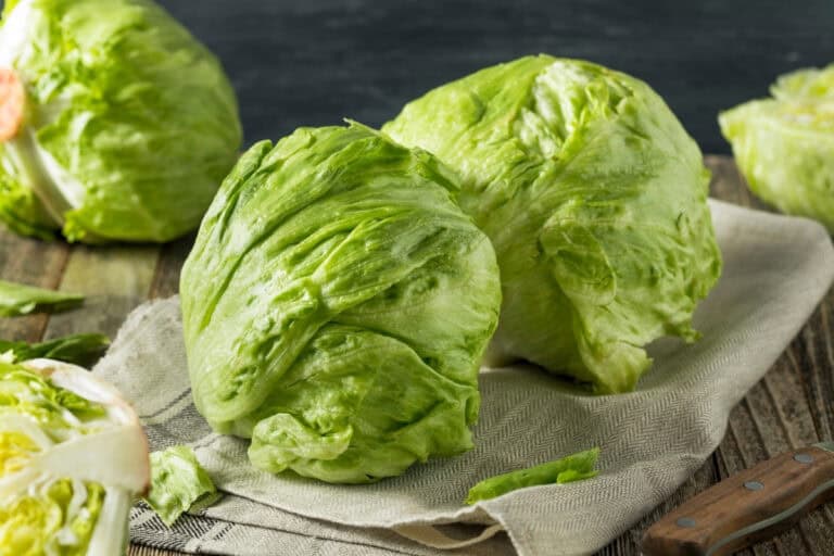 Ijsbergsla