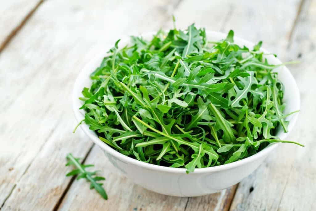 Rucola