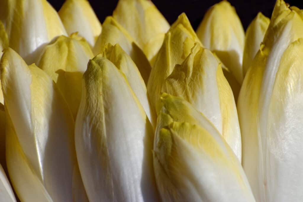 Suikerbrood Groenlof