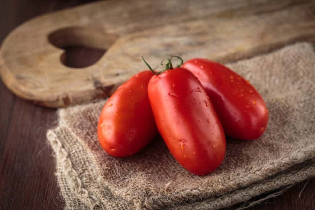 Tomaat San Marzano