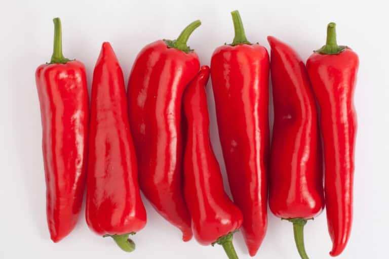 Zoete Punt Paprika