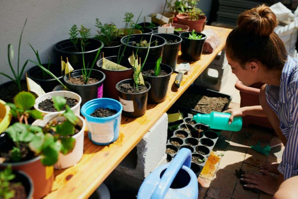 hoe laat planten water geven