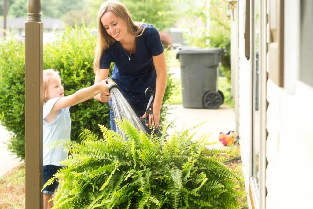 hoe vaak planten sproeien