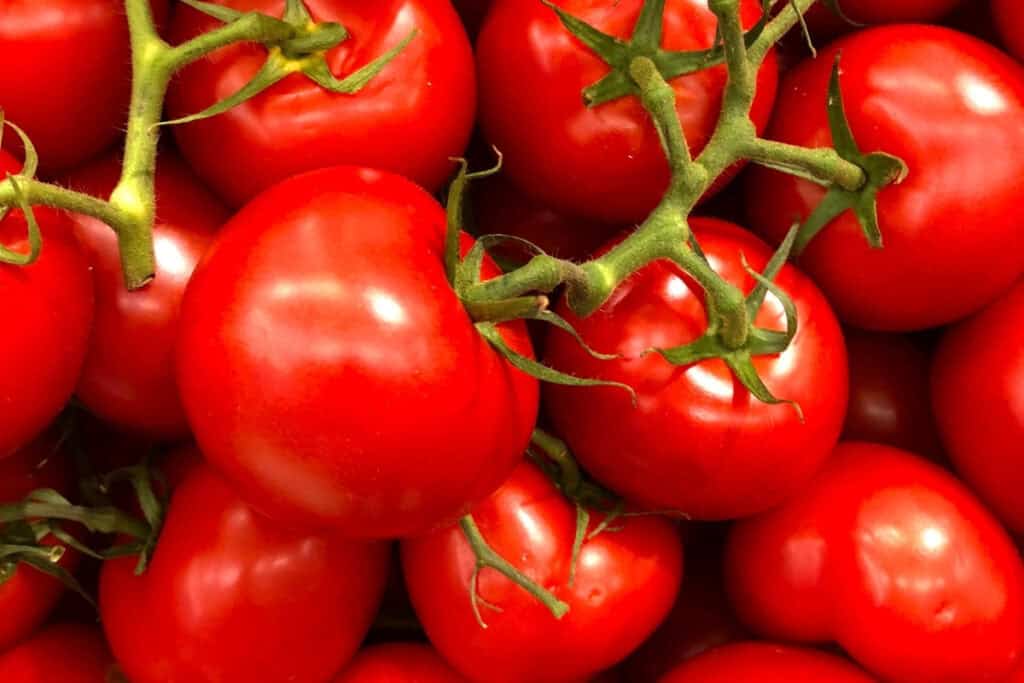 hoe ver tomaten uit elkaar planten