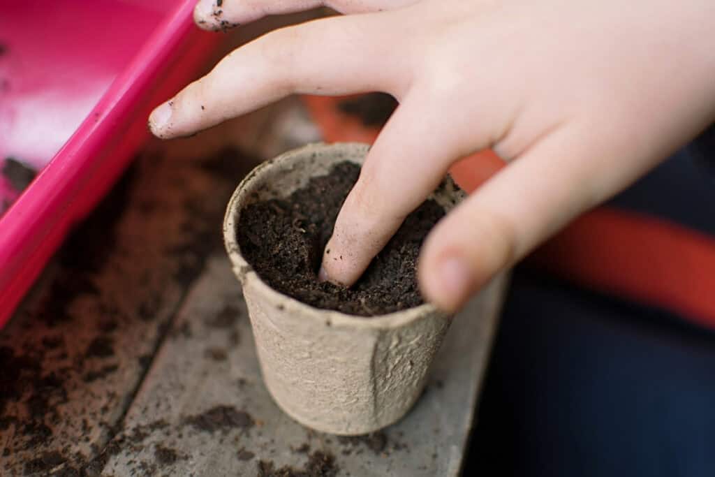 hoe zaadjes planten