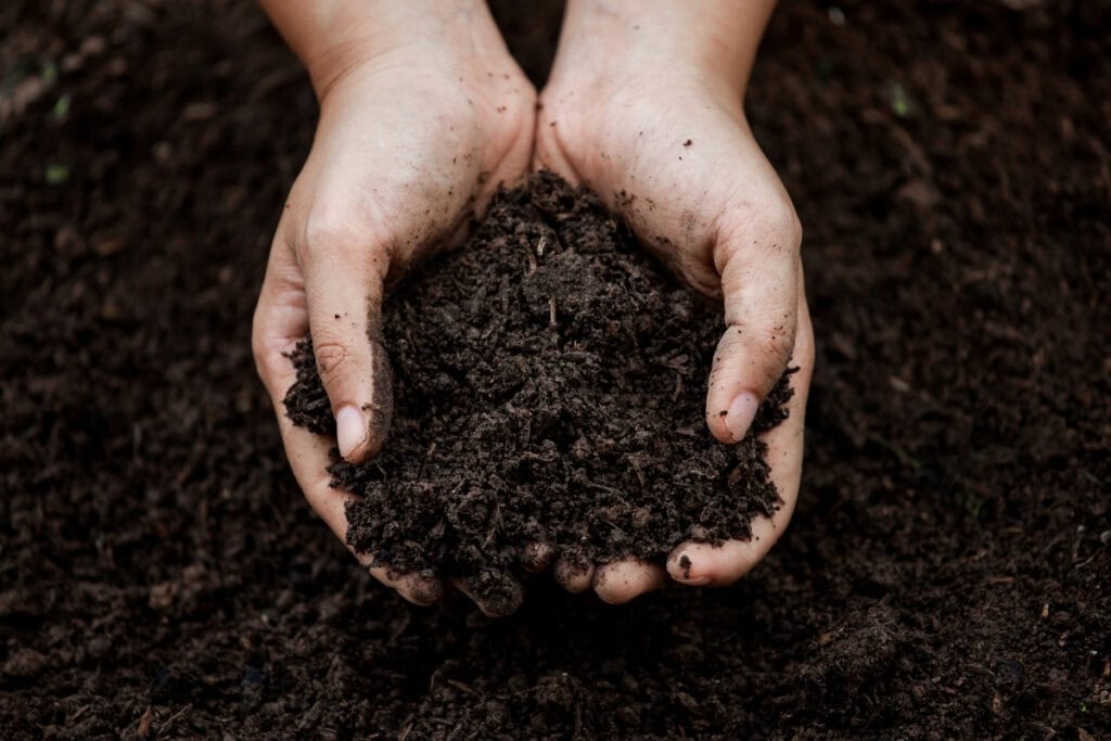 hoeveel cm zwarte grond voor planten