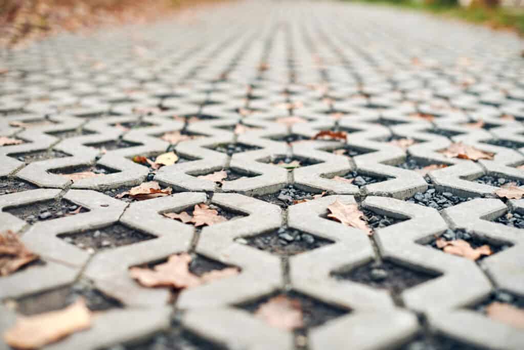 Paving stone with autumn leaves?