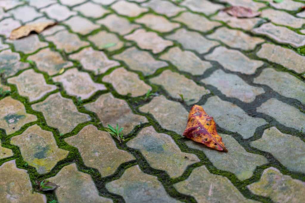 Is dampremmende folie altijd nodig?