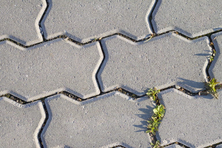 Welk zand tussen tegels tegen onkruid?