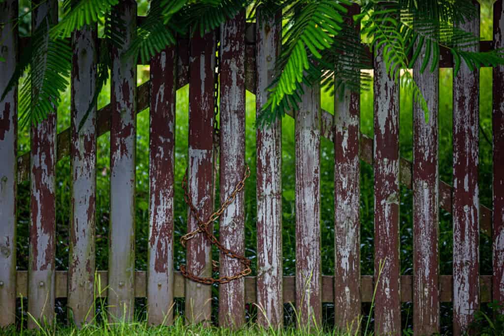 Welke Kleur Schutting In Kleine Tuin?