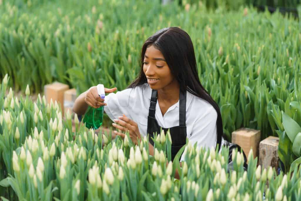 Hoe plant ik tulpenbollen