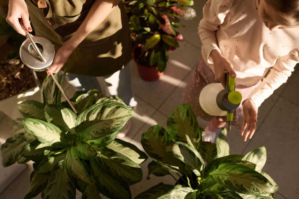 Is as goed voor planten