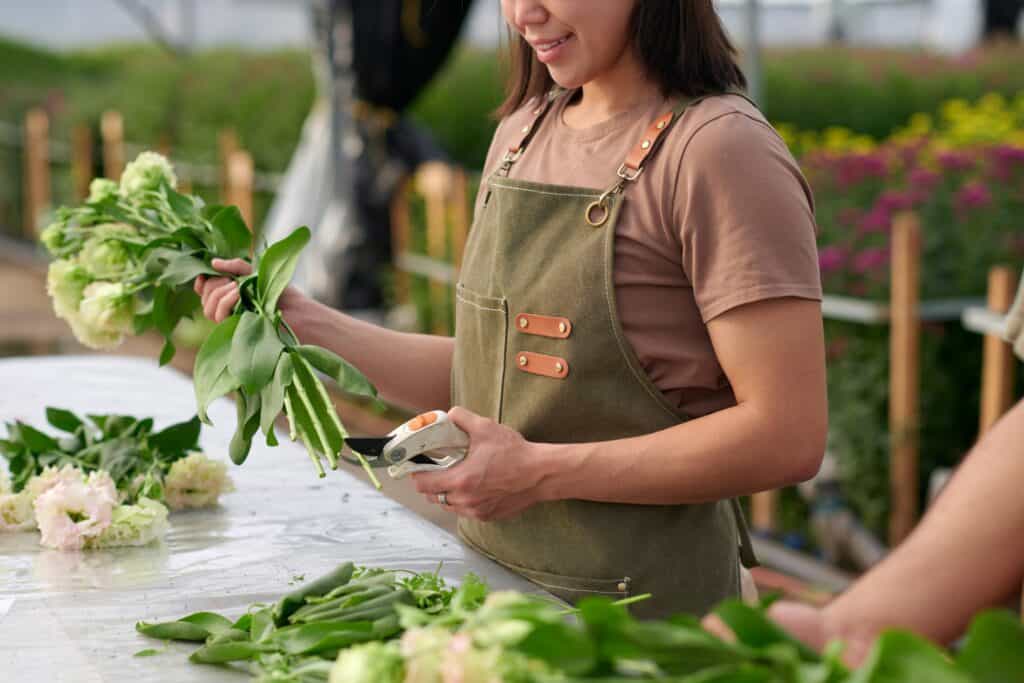 Wanneer Andijvie Planten?