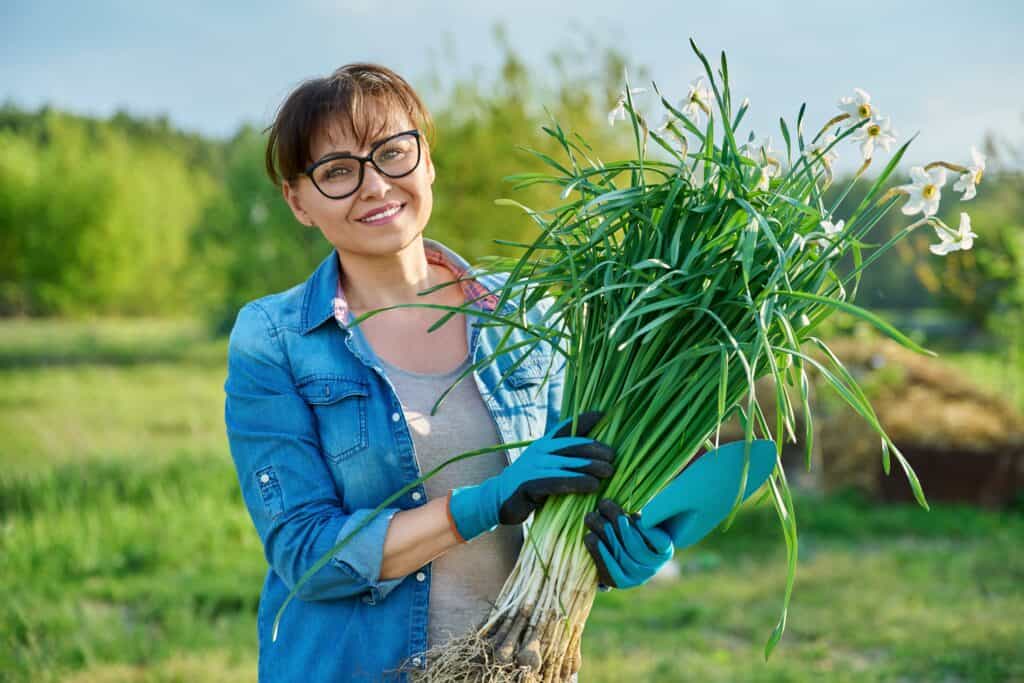 Wanneer Plantuien Planten