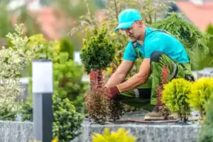 Een man met een turquoise pet, overhemd en groene overall knielt terwijl hij kleine, gemanicuurde struiken en planten verzorgt in een goed onderhouden daktuin. Hij draagt handschoenen en is voorzichtig bezig met het bijstellen of planten van een struik omringd door groen.