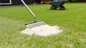 Een dunne laag zand wordt met een gazonrakel over een lage plek in het gras uitgetrokken, kruiwagen op de achtergrond