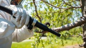Persoon in beschermende kleding zuigt eikenprocessierups van een eikenboom in een Nederlandse tuin.