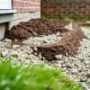 Grindbak met losse split naast de fundering van een huis in een Nederlandse tuin, waarin regenwater wegzakt.