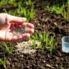 Hand strooit graszaad op kale aarde in een Nederlandse tuin met een meetbeker erbij.