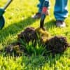 Pers die een verticuter gebruikt op een groen gazon in een Nederlandse tuin om vilt en mos te verwijderen.